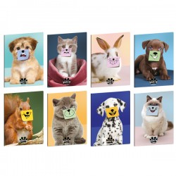 Maxiquaderno Pets-IT - A4 - 4mm - 21 fogli - 80 gr - Blasetti