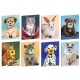 Maxiquaderno Pets-IT - A4 - 4mm c/margine - 21 fogli - 80 gr - Blasetti