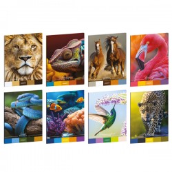 Maxiquaderno Animal Palette - A4 - rigo di 1a - 21 fogli - 80 gr - Blasetti