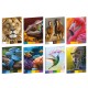 Maxiquaderno Animal Palette - A4 - 10mm - 21 fogli - 80 gr - Blasetti