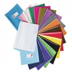 Coprimaxi Gold - c/alette - 21 x 30 cm - PVC - 300 mic - laccato - verde chiaro - Colorosa