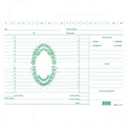 Schede in cartoncino per dentisti - 17 x 24 cm - verde - Edipro - conf. 100 pezzi