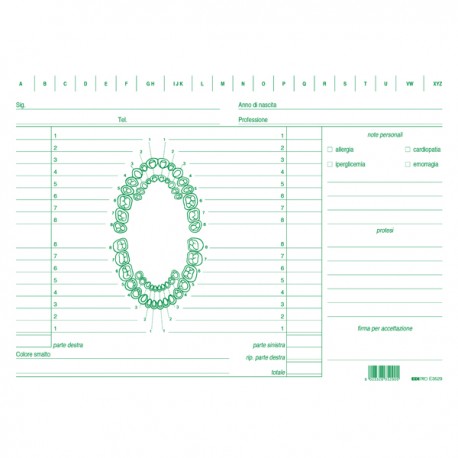 Schede in cartoncino per dentisti - 17 x 24 cm - verde - Edipro - conf. 100 pezzi