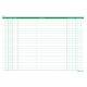 Schede in cartoncino per dentisti - 17 x 24 cm - verde - Edipro - conf. 100 pezzi