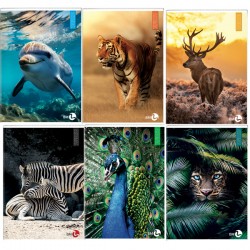 Maxiquaderno Animal fantasia - A4 - 40+2 fogli - 80gr - 4mm - BM