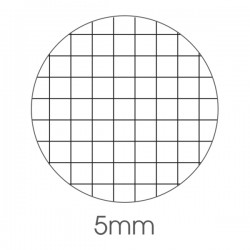 Maxiquaderno Be more Tiny - A4 - 36+2 fogli - 100gr - 5mm - BM