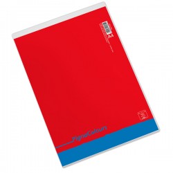 Blocco Colours - 5 mm - A4 - 60 gr - 60 fogli - Pigna