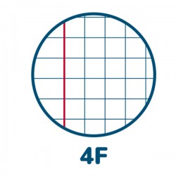 Maxiquaderno Cuccioli - A4 - 4 mm c/margine - 42 fogli - 80 gr - Pigna