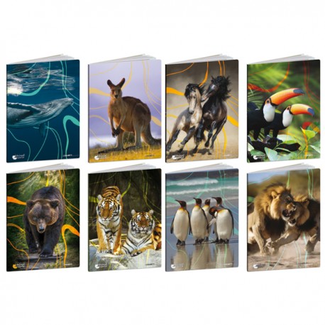 Maxiquaderno Animal World 2024 - A4 - 4 mm - c/margine - 21 fogli - 80 gr - Blasetti