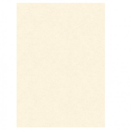 Diplomi in pergamena - stampa offset - A3 - 160 gr - neutro avorio - Kartos - conf. 10 pezzi