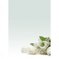 Carta con stampa "rosa bianca" - A4 - 90 gr - Decadry - conf. 20 fogli