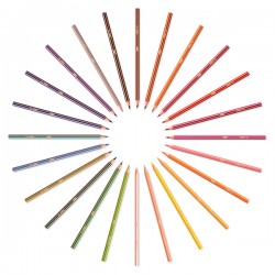 Matita colorata Evolution Stripes - colori assortiti - Bic - conf. 12 pezzi