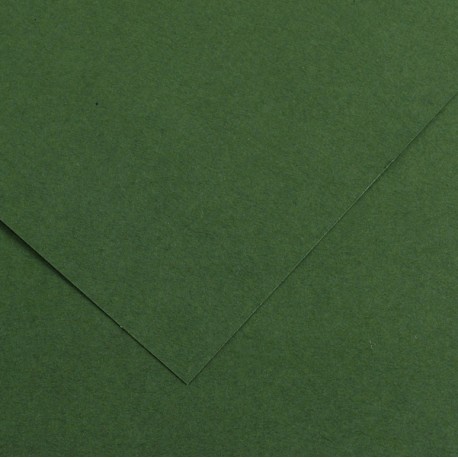 Foglio Colorline - 70x100 cm - 220 gr - verde abete - Canson