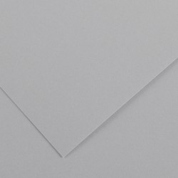 Foglio Colorline - 70x100 cm - 220 gr - grigio chiaro - Canson