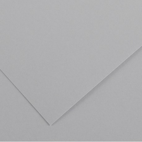 Foglio Colorline - 70x100 cm - 220 gr - grigio chiaro - Canson