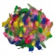 Piume tropicali - dimensione 50-100 mm - colori assortiti - DECO - conf. 100 pezzi