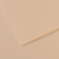 Foglio Mi-Teintes - A4 - 160 gr - conchiglia - Canson