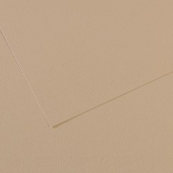 Foglio Mi-Teintes - A4 - 160 gr - grigio trianon - Canson