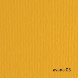 Cartoncino Elle Erre - 70 x 100 cm - 220gr - avana 103 - Fabriano - blister 10 fogli