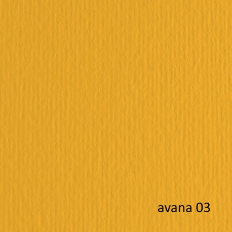 Cartoncino Elle Erre - 70 x 100 cm - 220gr - avana 103 - Fabriano - blister 10 fogli