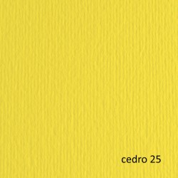 Cartoncino Elle Erre - 70 x 100 cm - 220gr - cedro 125 - Fabriano - blister 10 fogli
