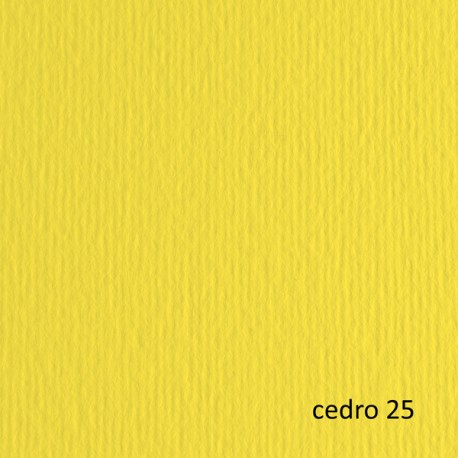 Cartoncino Elle Erre - 70 x 100 cm - 220gr - cedro 125 - Fabriano - blister 10 fogli