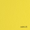Cartoncino Elle Erre - 50 x 70 cm - 220gr - cedro 25 - Fabriano - blister 20 fogli