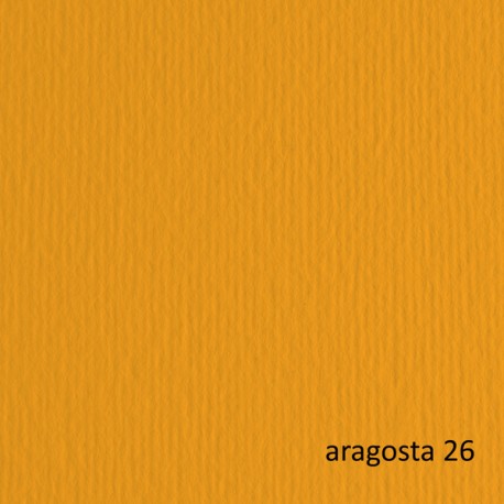 Cartoncino Elle Erre - 50 x 70 cm - 220gr - aragosta 26 - Fabriano - blister 20 fogli