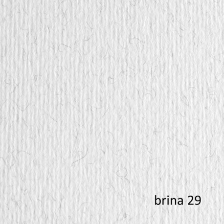 Cartoncino Elle Erre - 50 x 70 cm - 220gr - brina 29 - Fabriano - blister 20 fogli