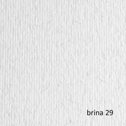 Cartoncino Elle Erre - 70 x 100 cm - 220gr - brina 129 - Fabriano - blister 10 fogli