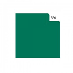 Carta velina - 50 x 70 cm - 20 gr - verde 560 - Rex Sadoch - busta 26 fogli