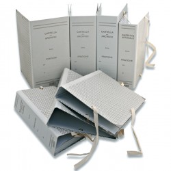 Faldone - legacci rivettati - 35 x 25 cm - dorso 5 cm - grigio - Euro-cart