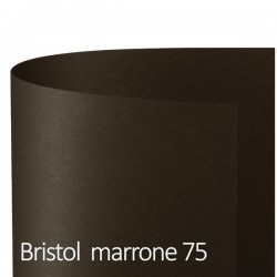 Cartoncino Bristol Color - 50 x 70 cm - 200 gr - marrone 75 - Favini - conf. 25 pezzi