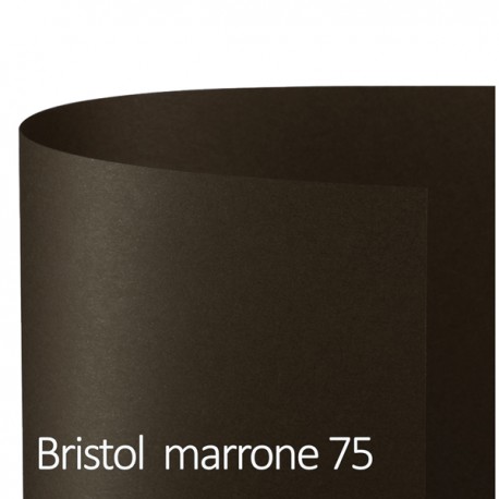 Cartoncino Bristol Color - 50 x 70 cm - 200 gr - marrone 75 - Favini - conf. 25 pezzi