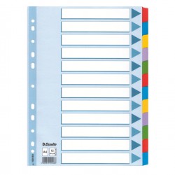 Intercalare Mylar -12 tasti colorati - A4 - Esselte