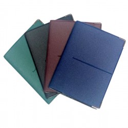 Portadocumenti - multicard special - PVC - colori assortiti 1060S - Alplast - conf. 24 pezzi