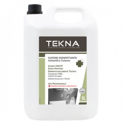 Sapone disinfettante - senza profumo - 5 lt - Tekna