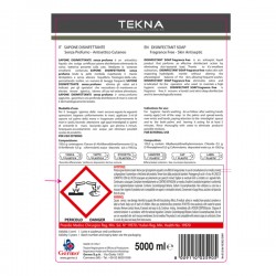 Sapone disinfettante - senza profumo - 5 lt - Tekna
