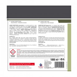 Sapone disinfettante - senza profumo - con dispenser - 1 L - Tekna