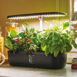 Orto idroponico indoor - 20 x 18 x 40 cm - Verdemax