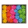 Stelle di nastro ecocolor - 15 mm x diam. 6,5 cm - colori assortiti primavera - Brizzolari - conf. 50 pezzi