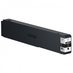 Epson - Cartuccia ink - Nero - C13T858100